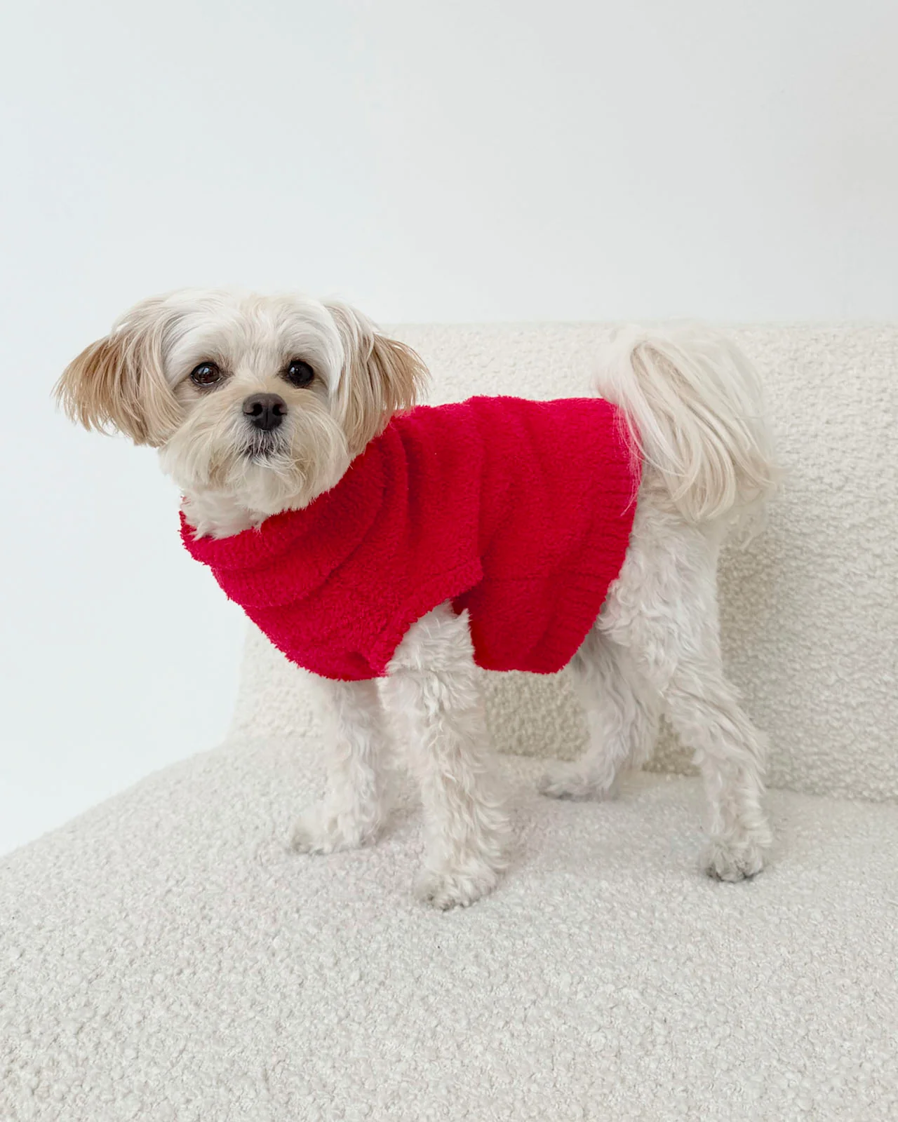 Red Fuzzy Pet Sweater