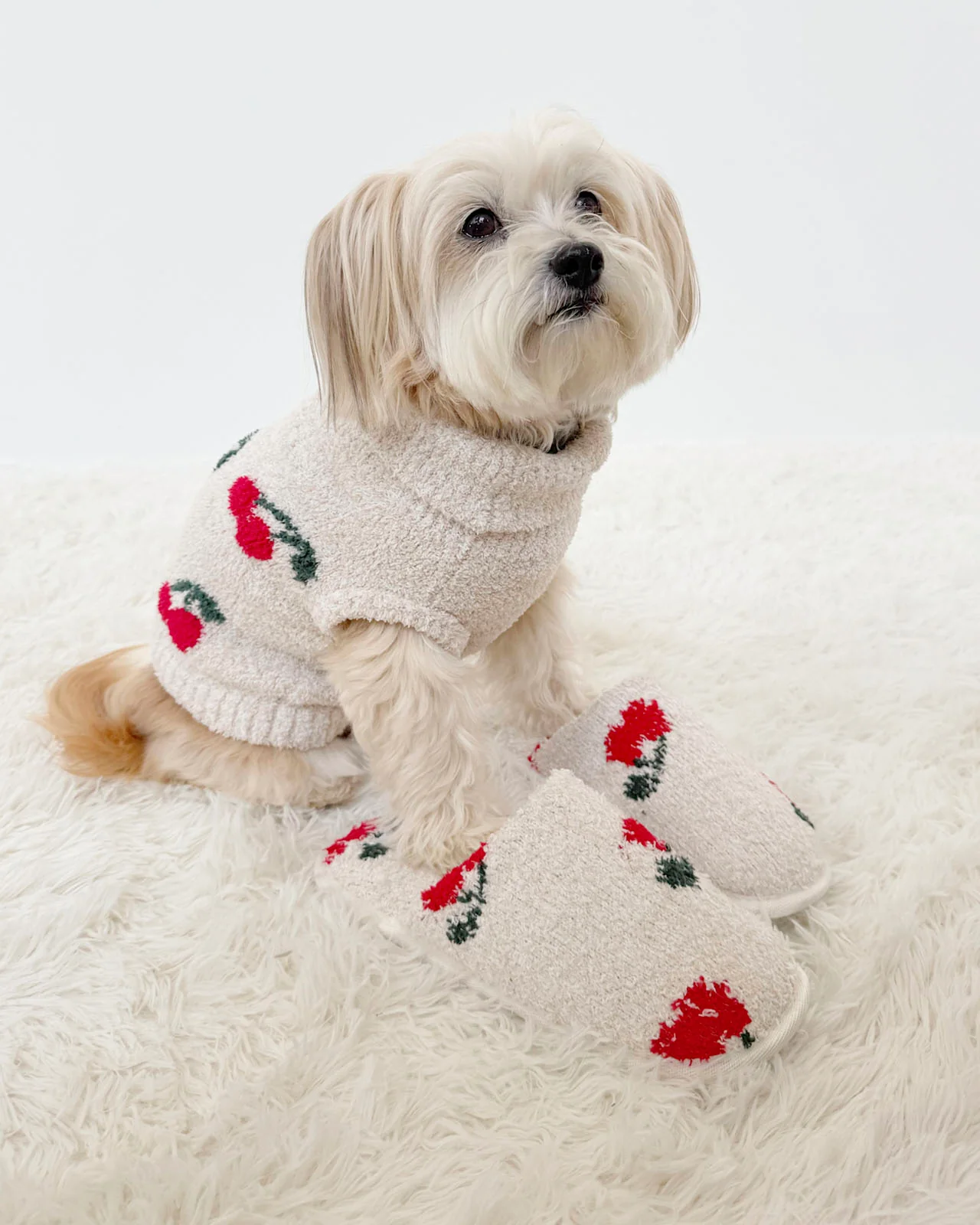 Cherries Fuzzy Pet Sweater