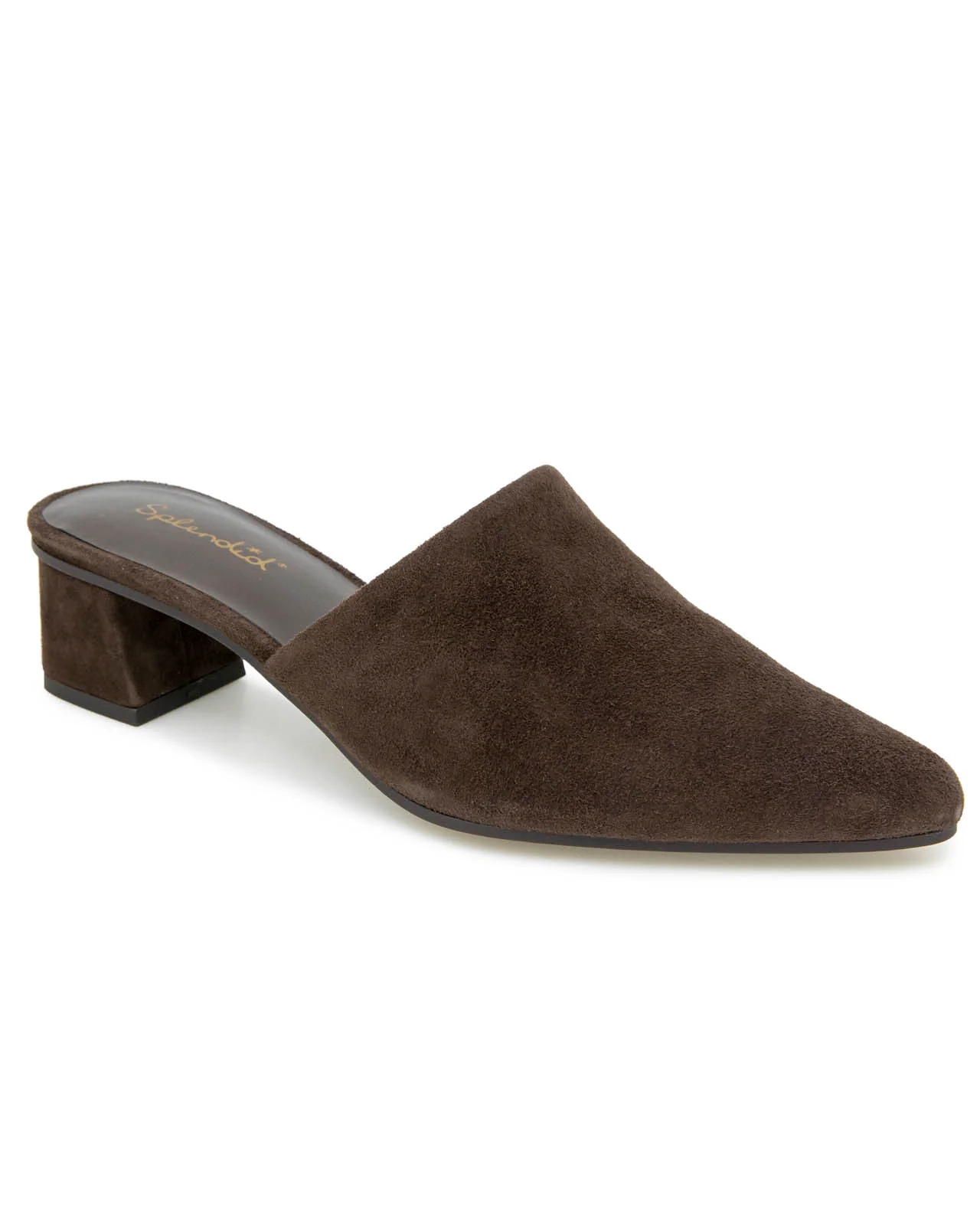 Lorelei Mule in Spice